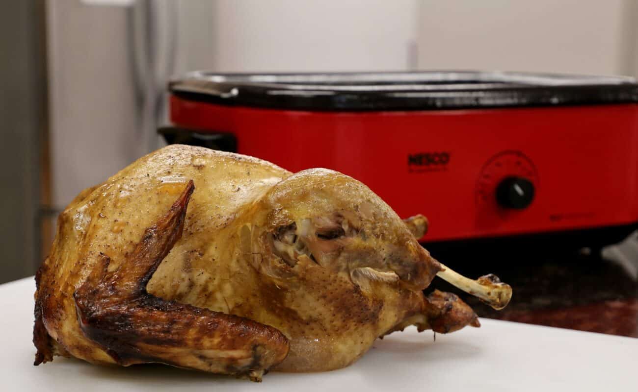 Roaster Oven - Fits Holiday Turkey - 22-Quart