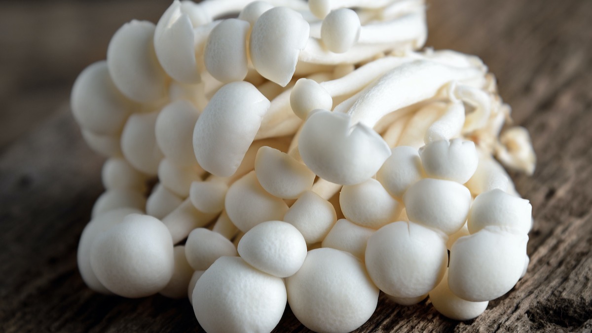 how-to-cook-white-shimeji-mushrooms