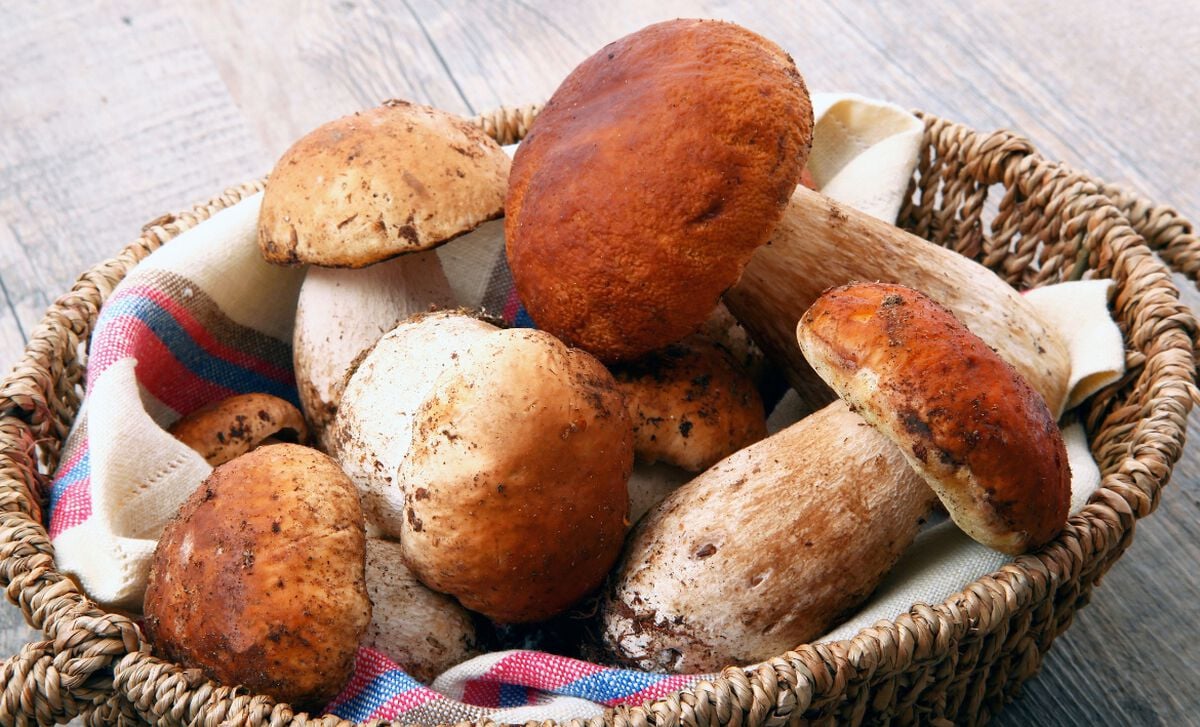 how-to-cook-with-dried-porcini-mushrooms