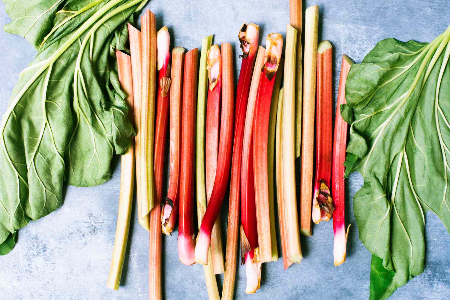 how-to-blanch-and-freeze-rhubarb