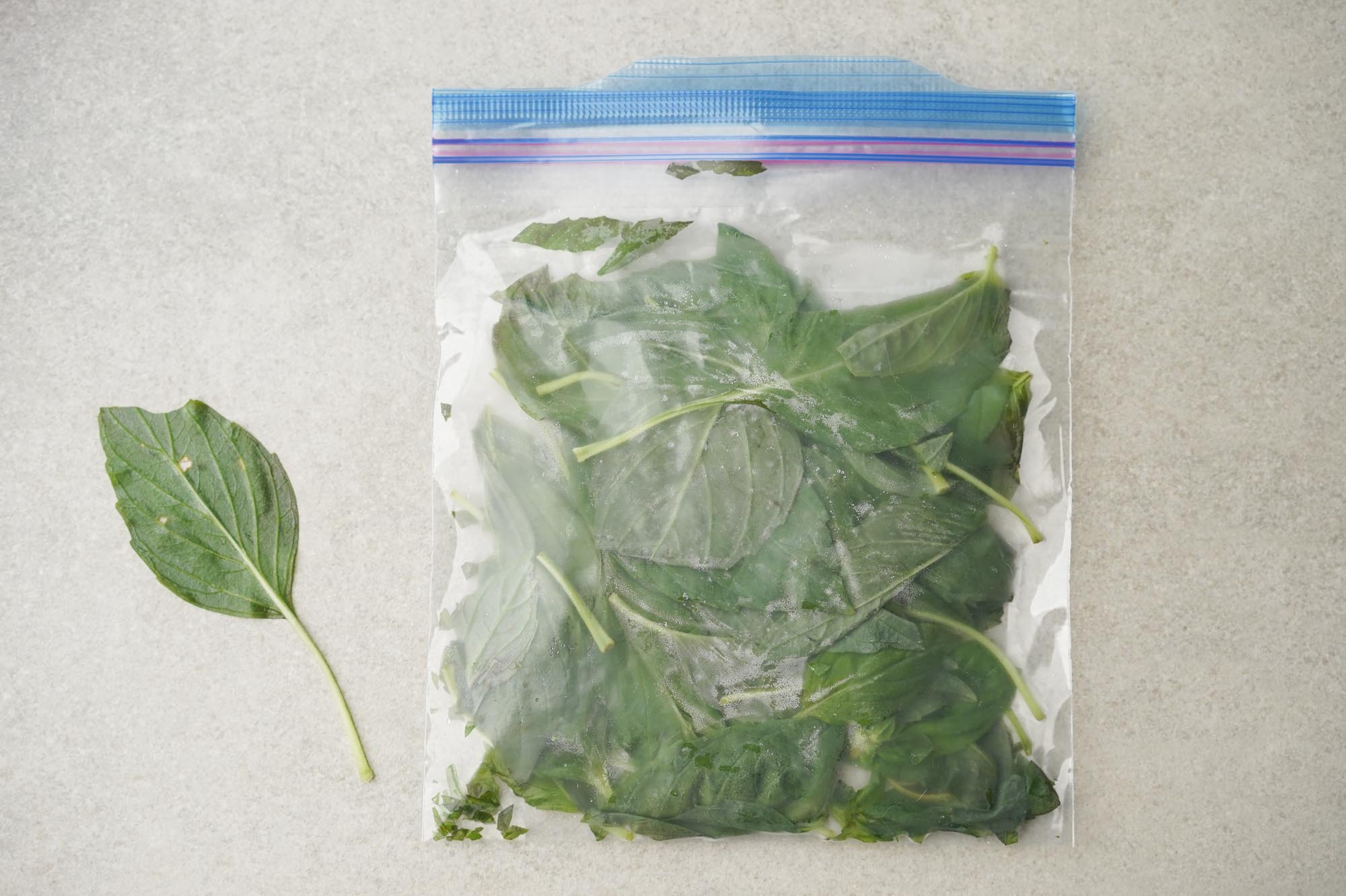 How To Blanch Freeze Basil Recipes