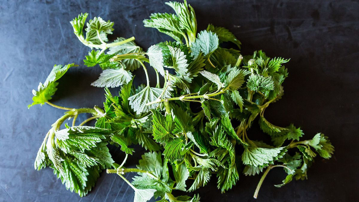 how-to-blanch-stinging-nettles
