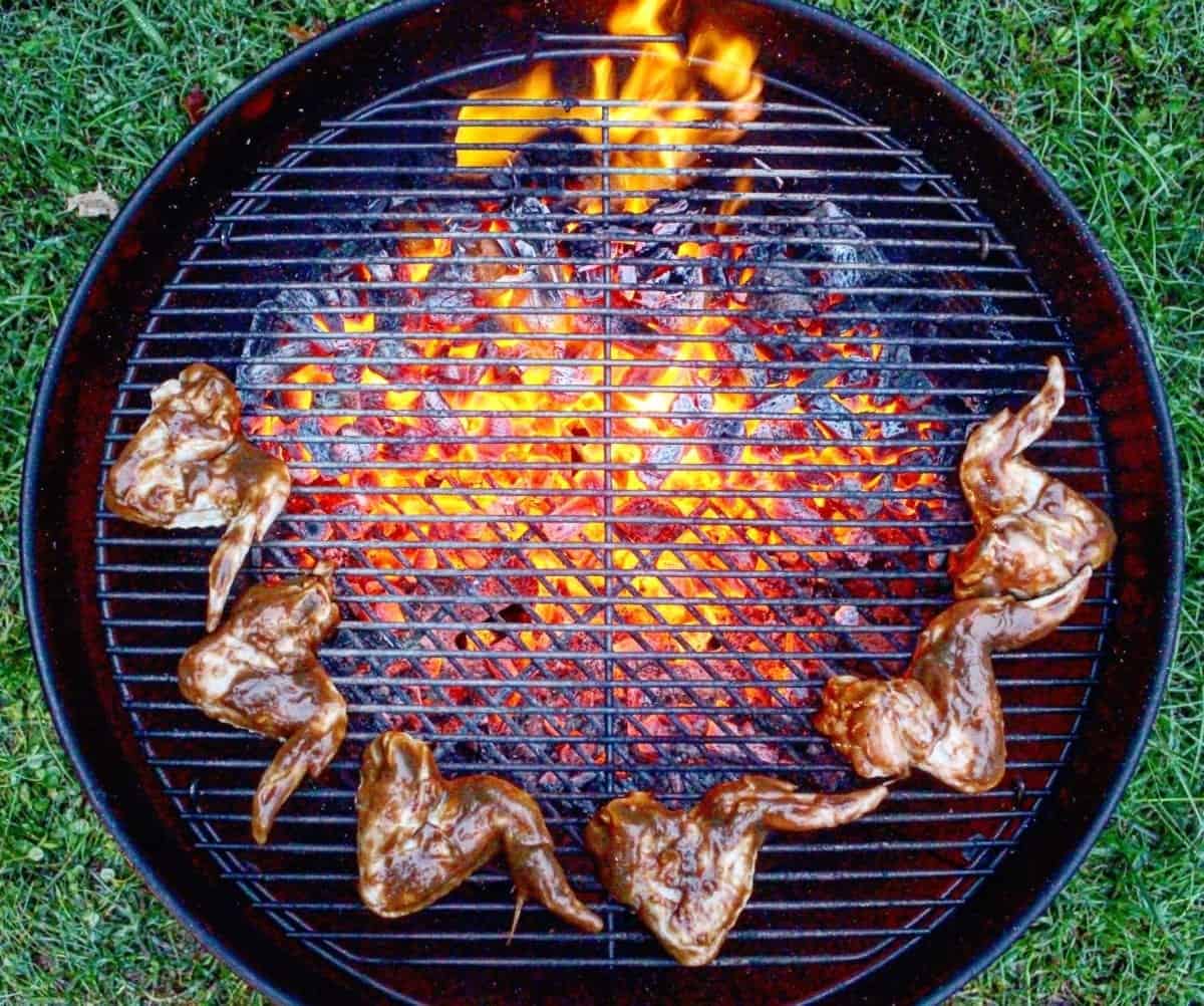 how-to-cook-chicken-wings-on-a-grill