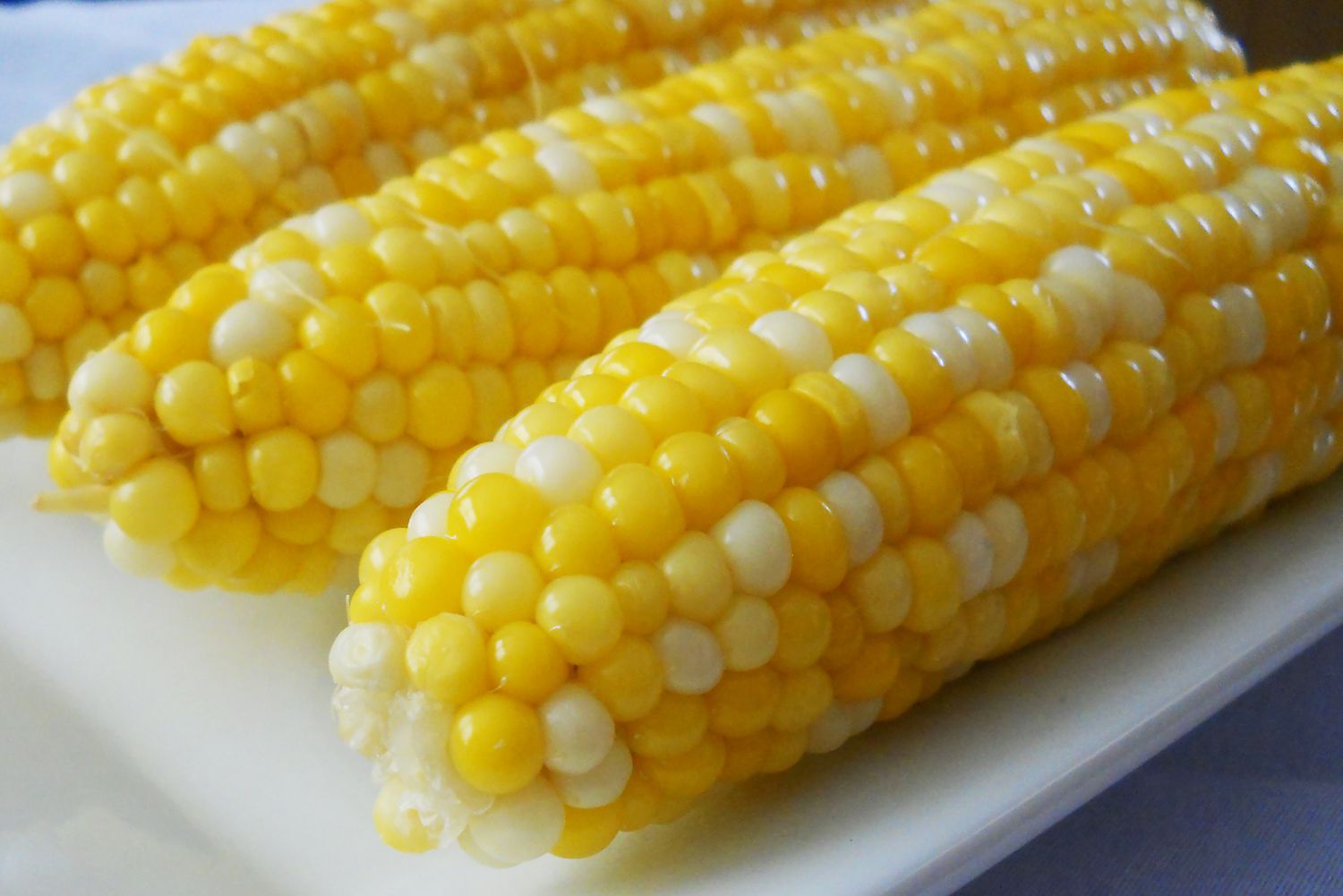 how-to-cook-corn-cob