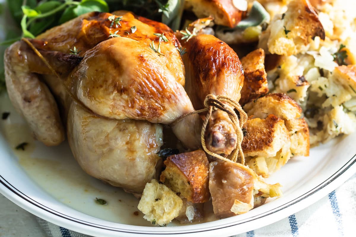 how-to-cook-cornish-hen-in-crock-pot