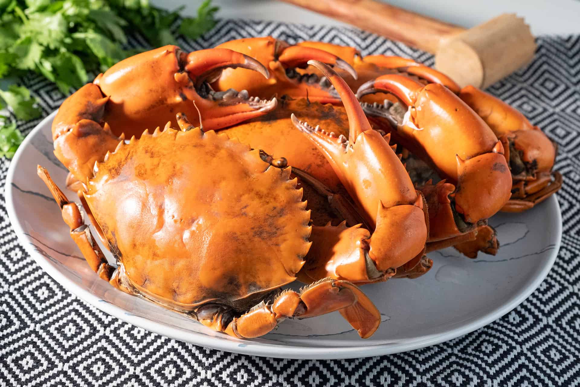 How To Cook Crabs In A Pot - Recipes.net