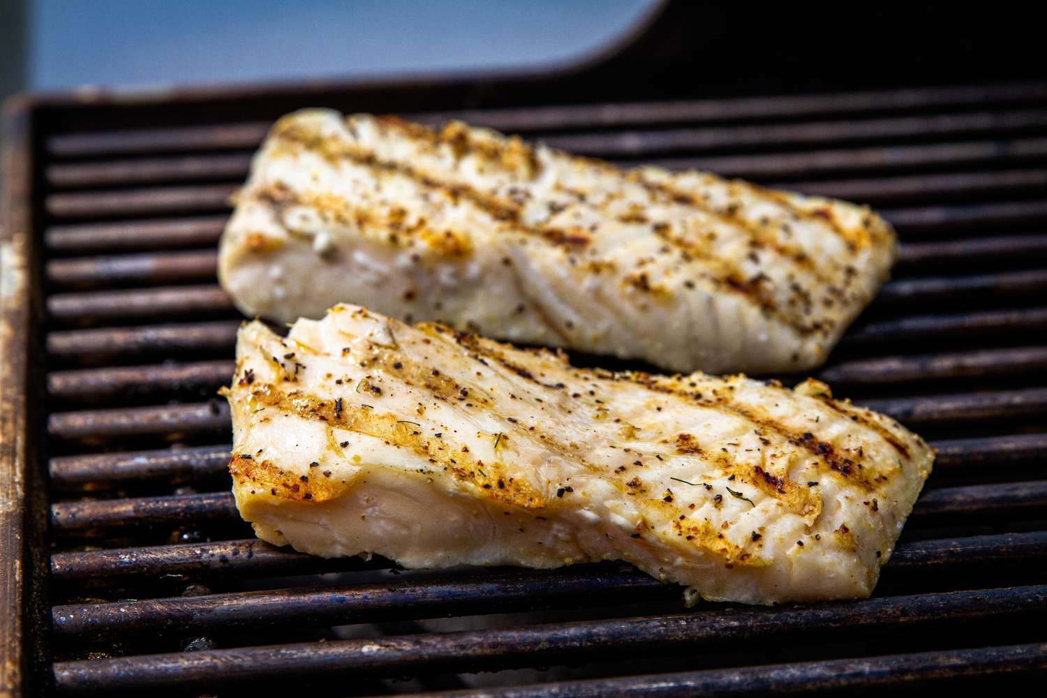 how-to-cook-fish-on-a-gas-grill