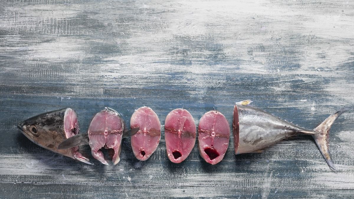 how-to-cook-fresh-caught-tuna