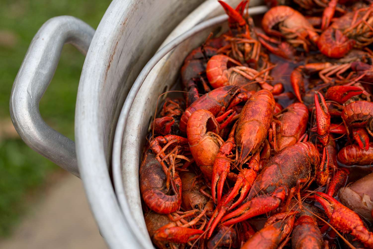 how-to-cook-frozen-crawfish-in-the-oven