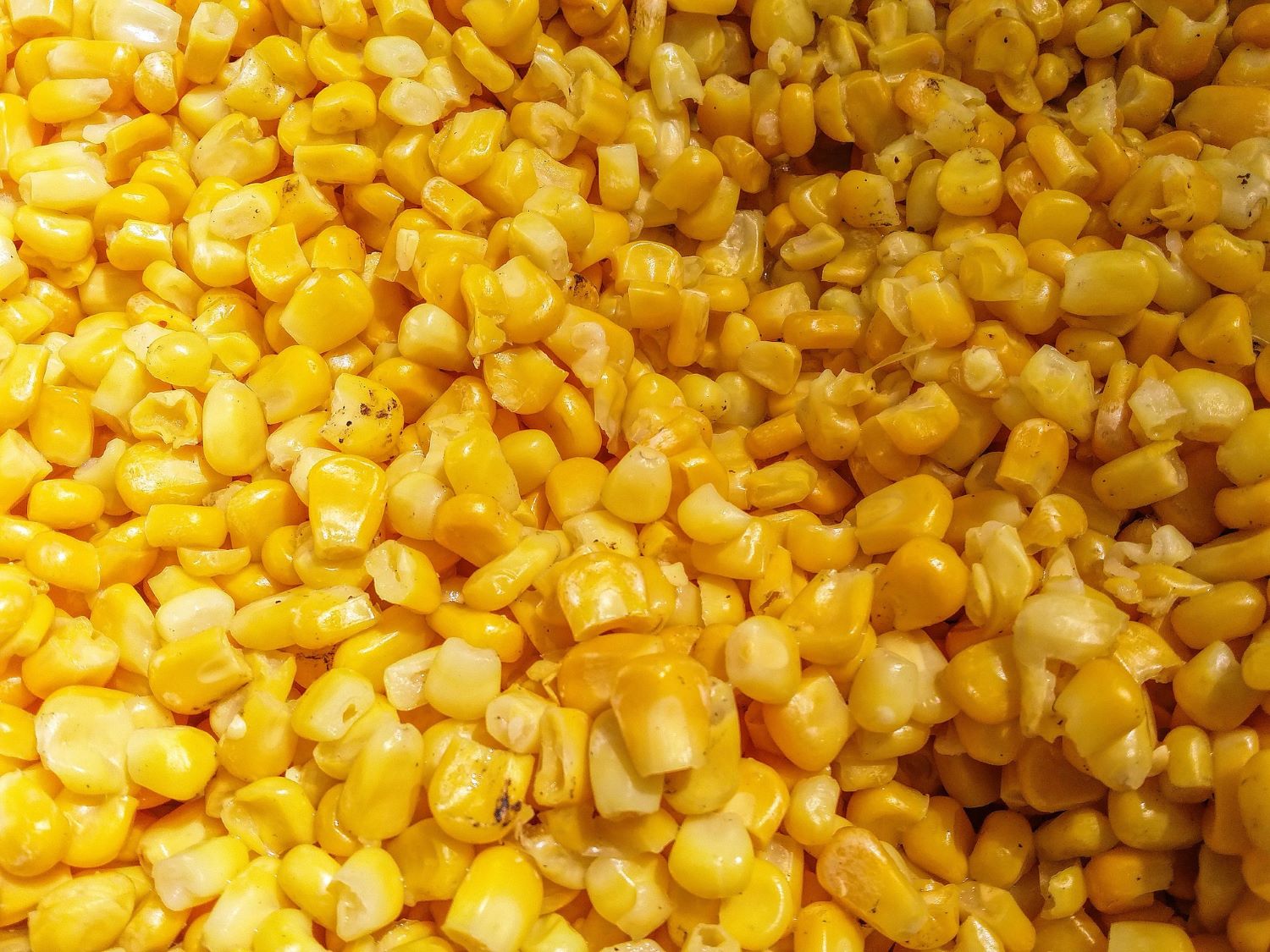 how-to-cook-frozen-sweet-corn