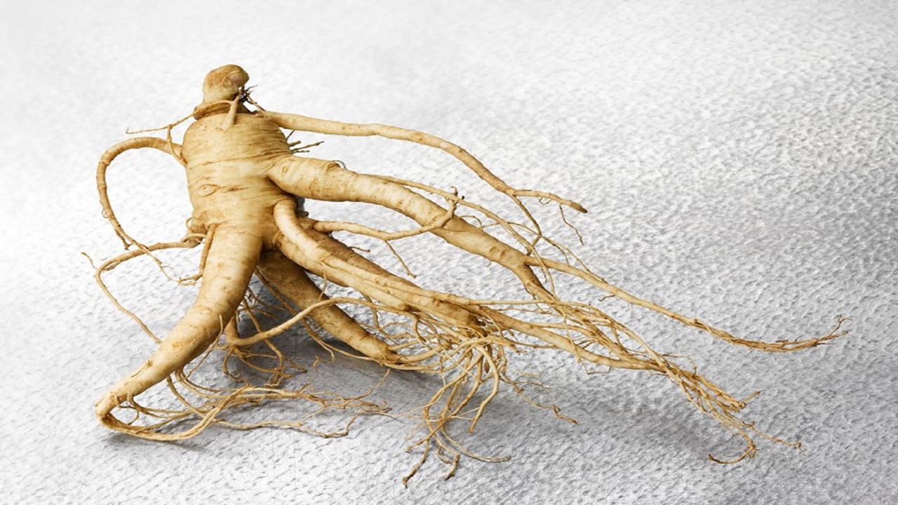 how-to-cook-ginseng-root