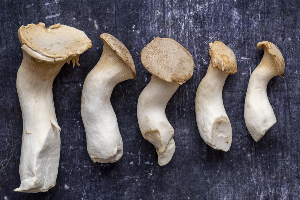 how-to-cook-king-oyster-mushrooms