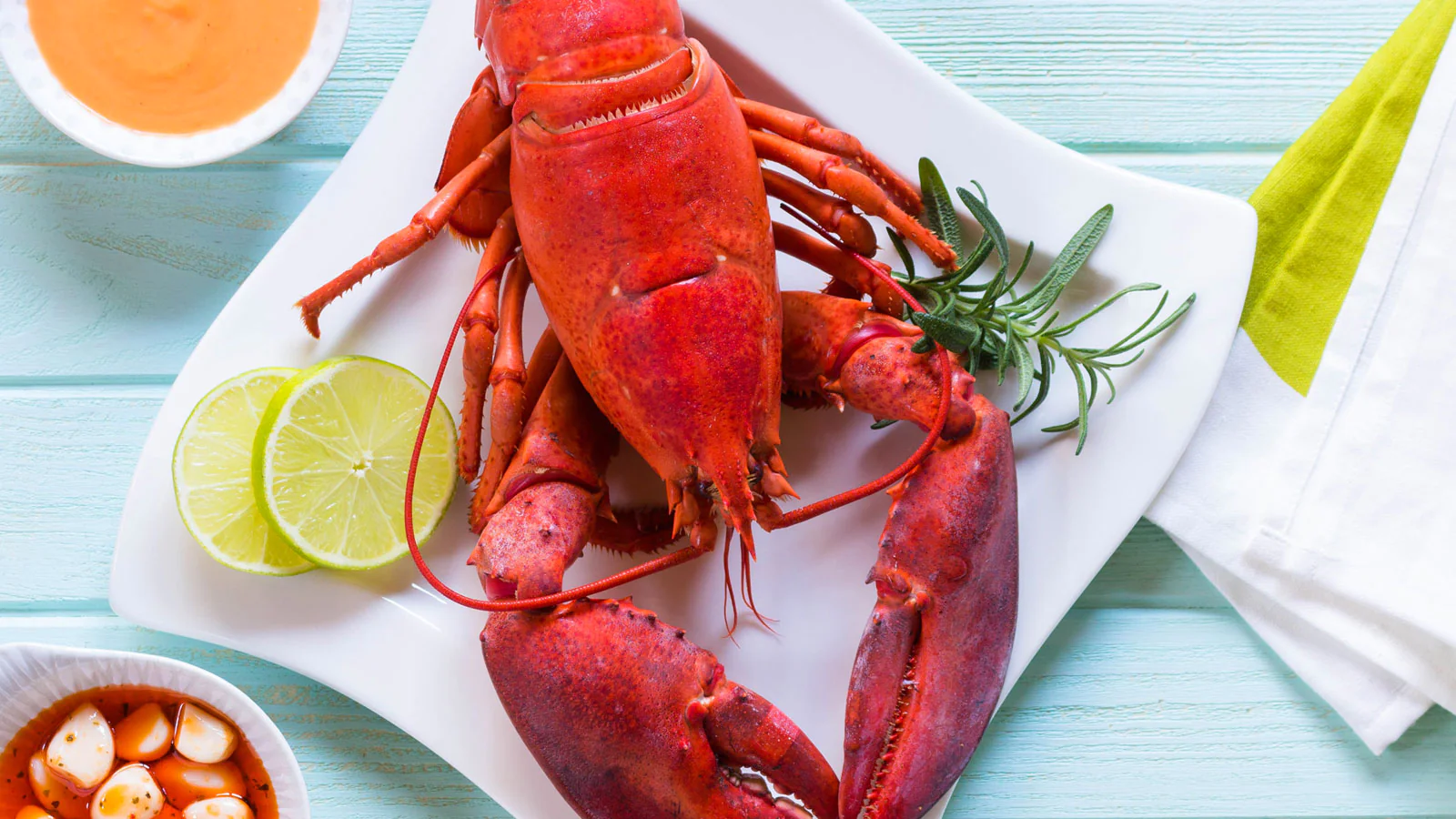 how-to-cook-live-maine-lobster