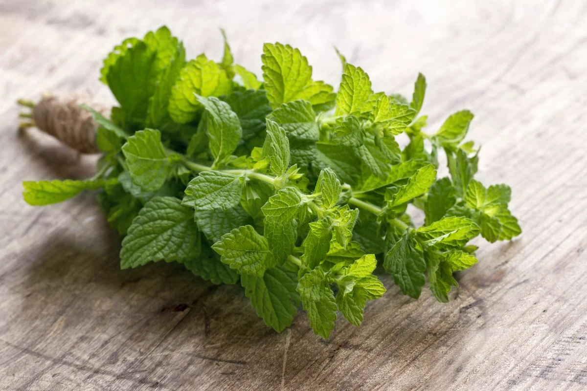 how-to-cook-mint-leaves