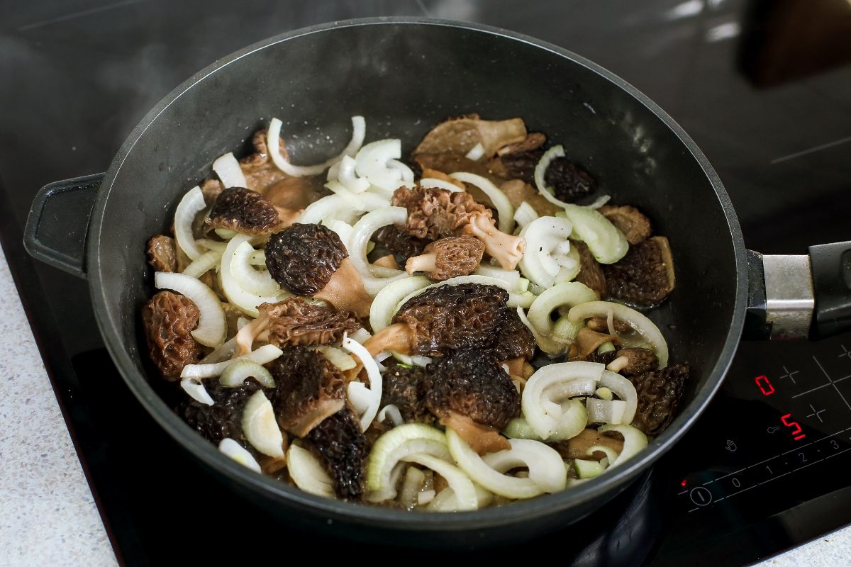 how-to-cook-morels-wild-mushrooms