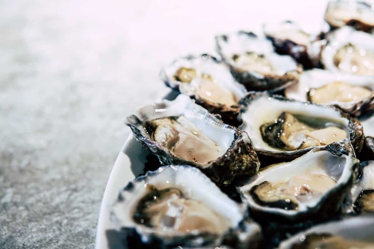 how-to-cook-oysters-on-stove
