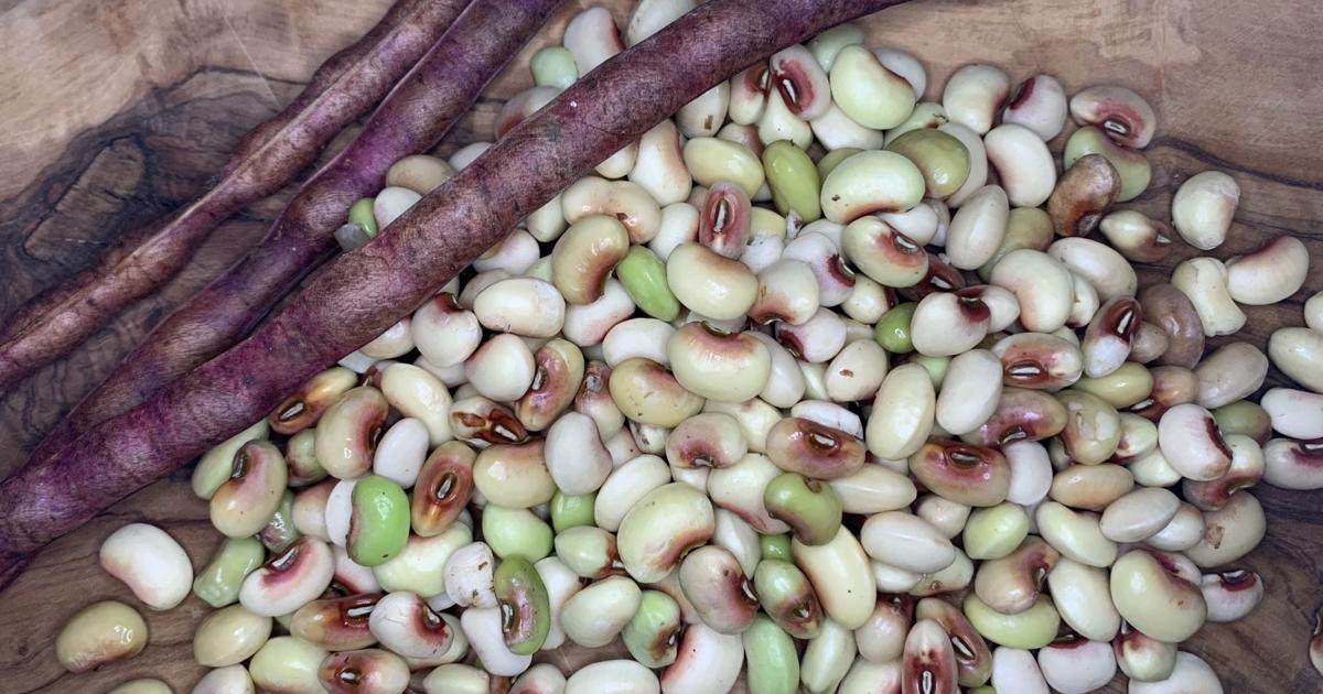 how-to-cook-pink-eyed-peas