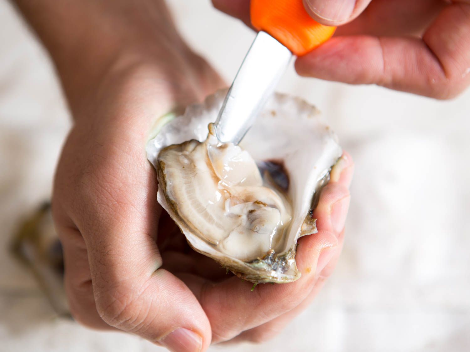 how-to-cook-raw-oysters-without-shell