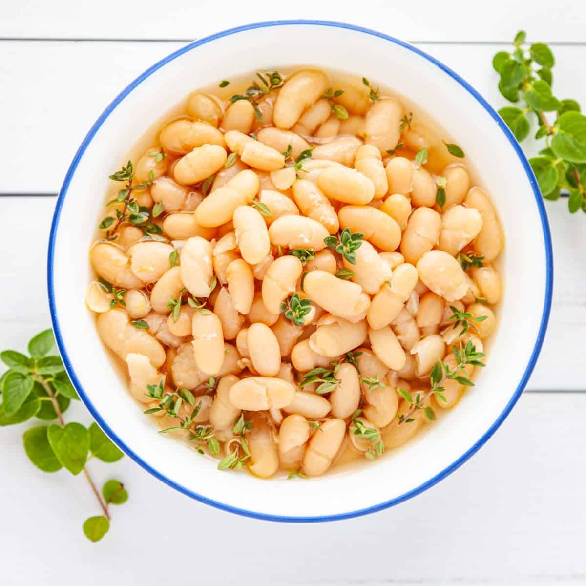 how-to-cook-small-white-beans