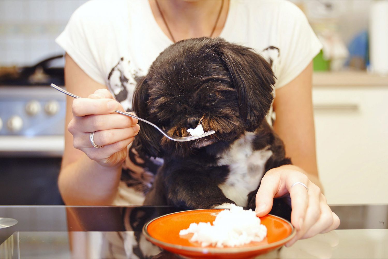 how-to-cook-white-rice-for-dogs-with-diarrhea