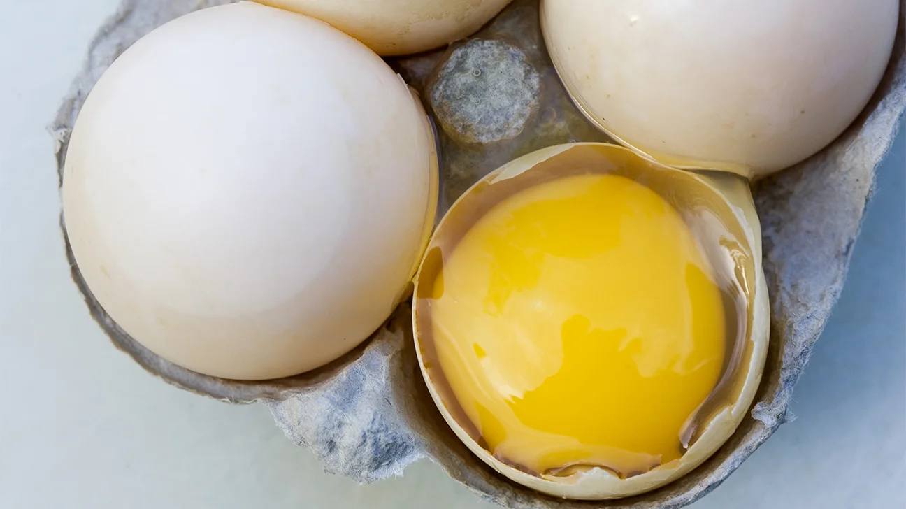 how-to-cook-with-duck-eggs