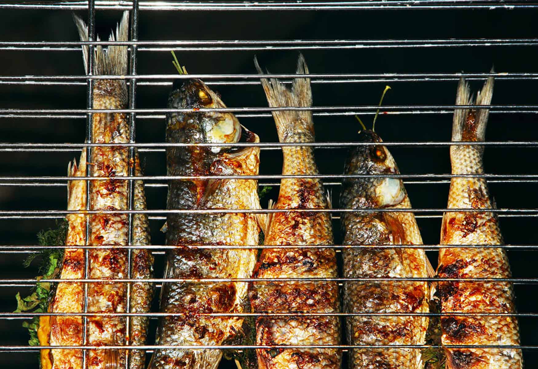 how-to-marinate-fish-to-grill