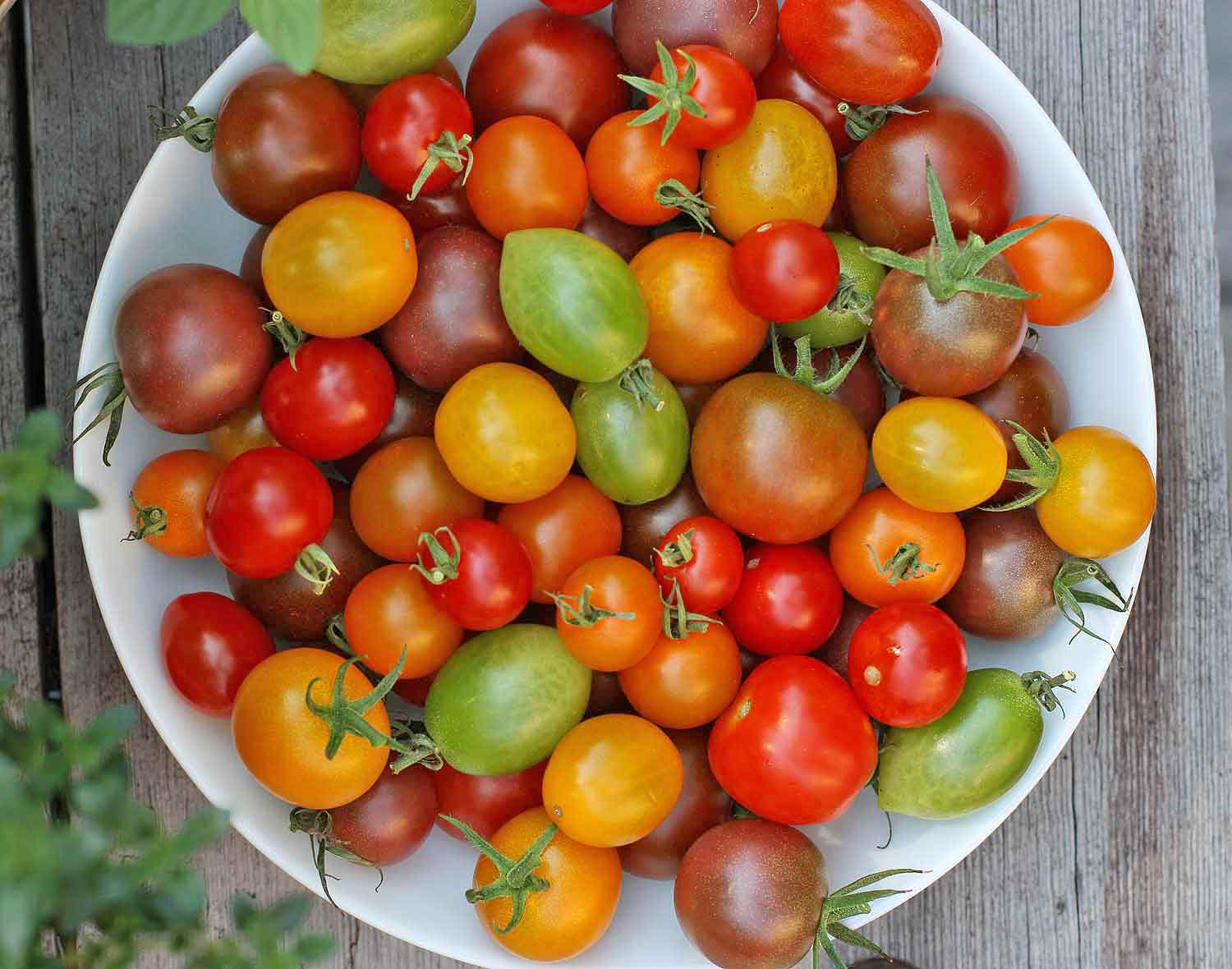 how-to-poach-cherry-tomatoes-with-whine