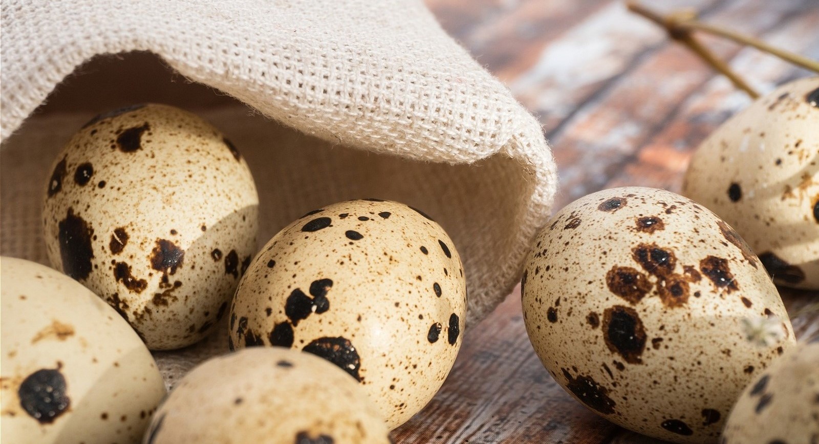 how-to-poach-quail-eggs