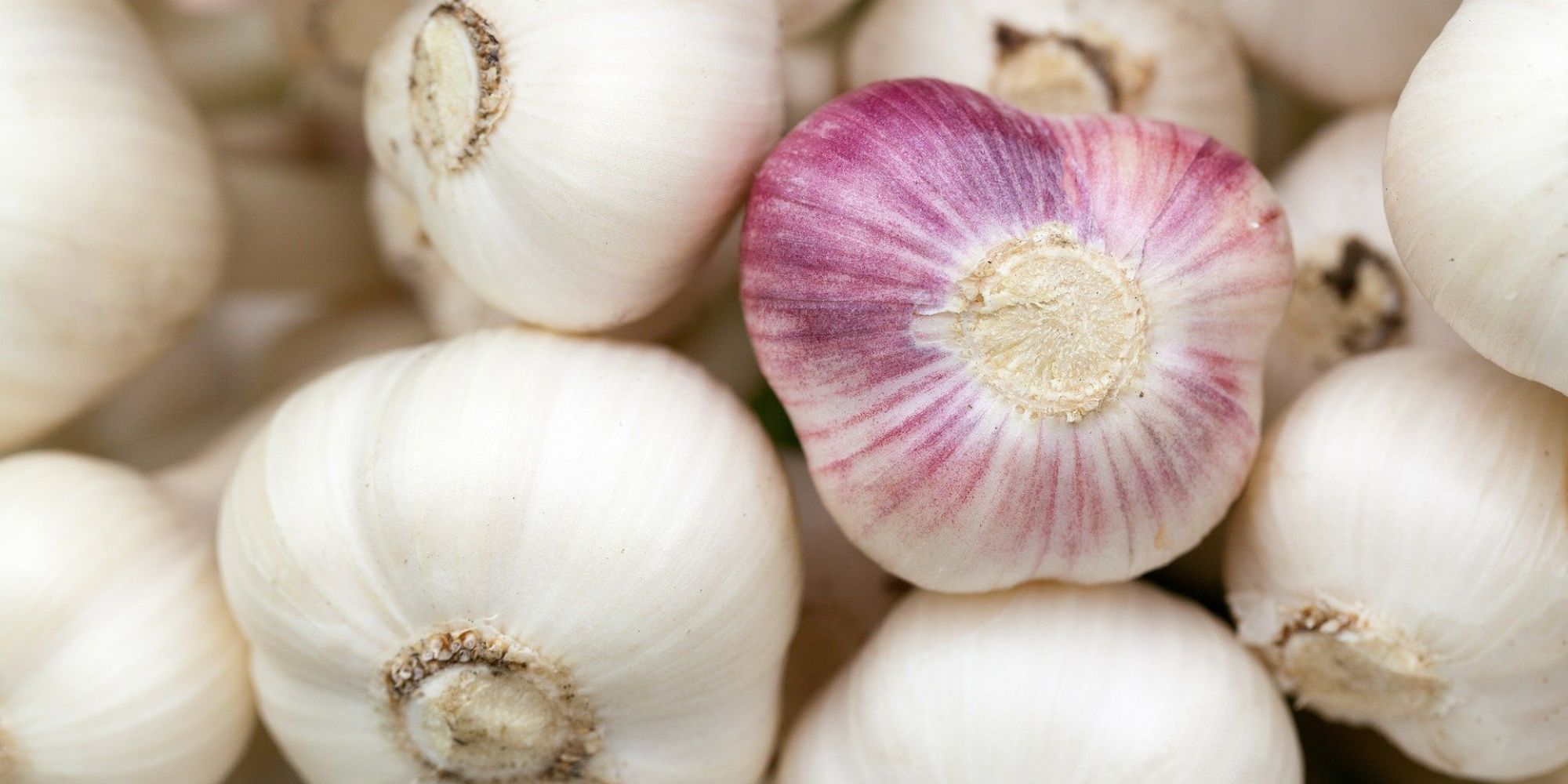 how-to-saute-fresh-garlic