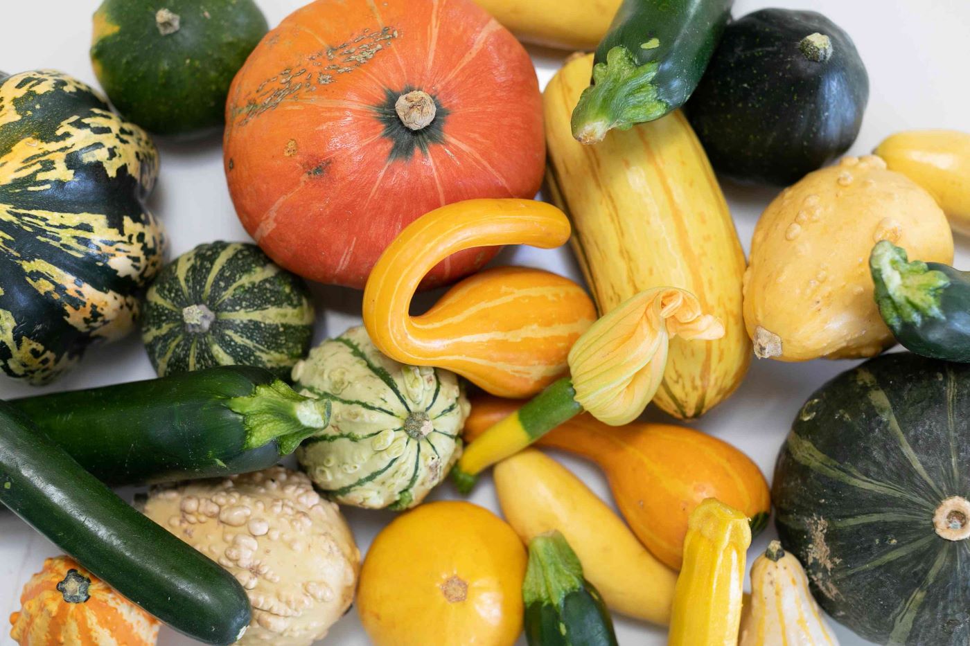 kinds-of-squash-and-how-to-cook-them