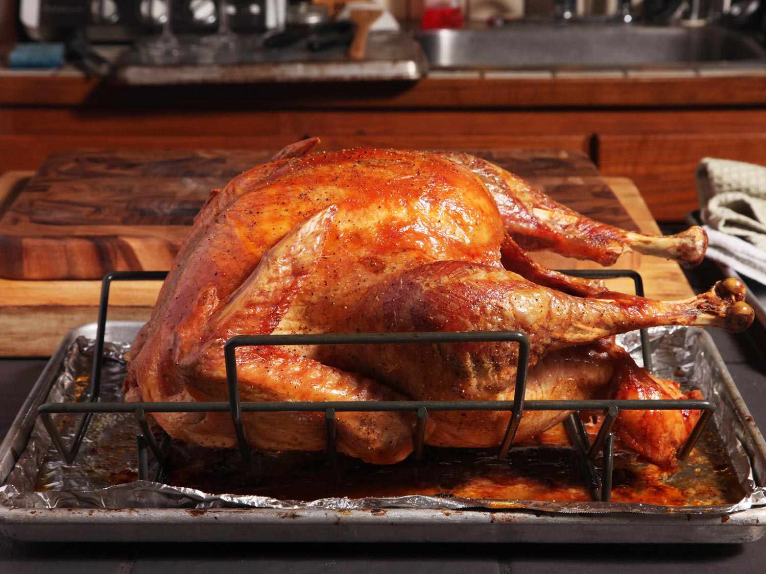 how-to-bake-a-turkey-in-a-roaster-oven