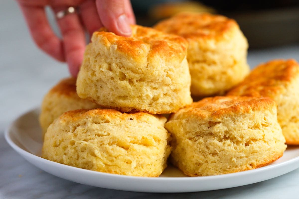 how-to-bake-biscuits-using-an-ariston-oven