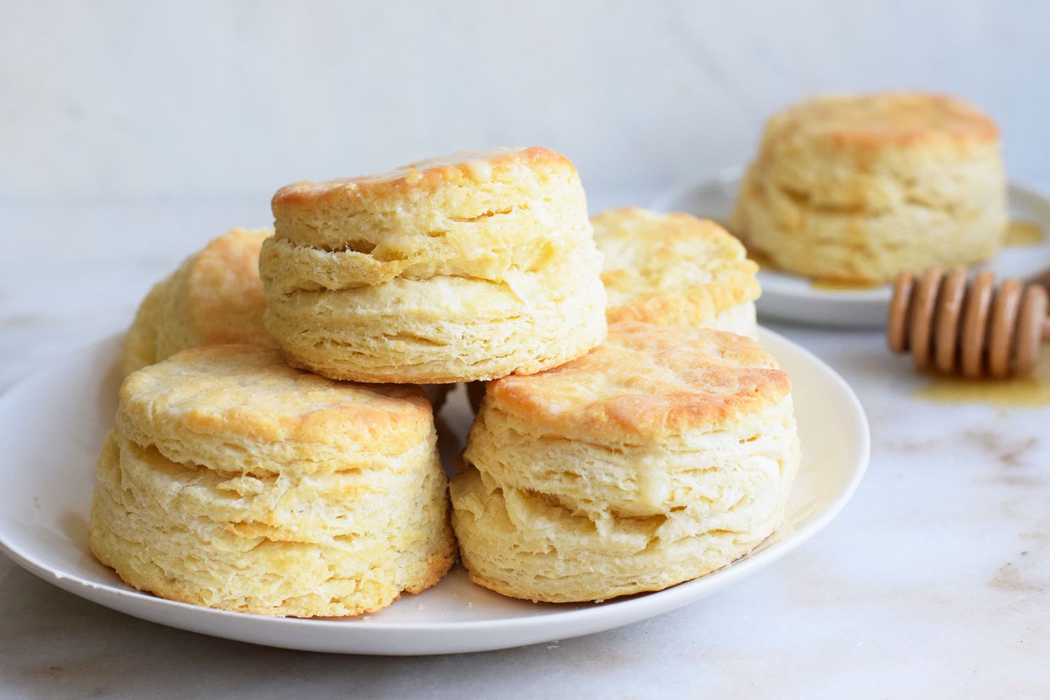how-to-bake-canned-biscuits-in-a-nuwave-oven