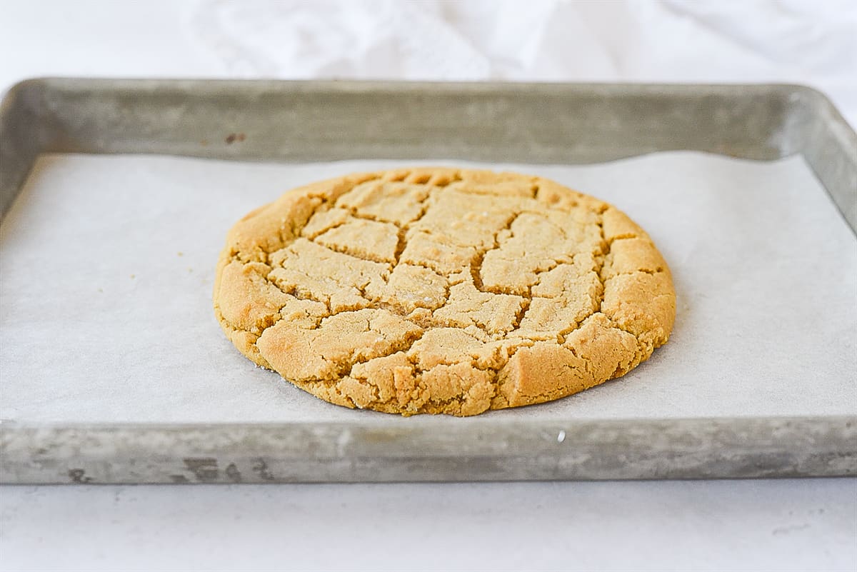 how-to-bake-one-big-peanut-butter-cookie
