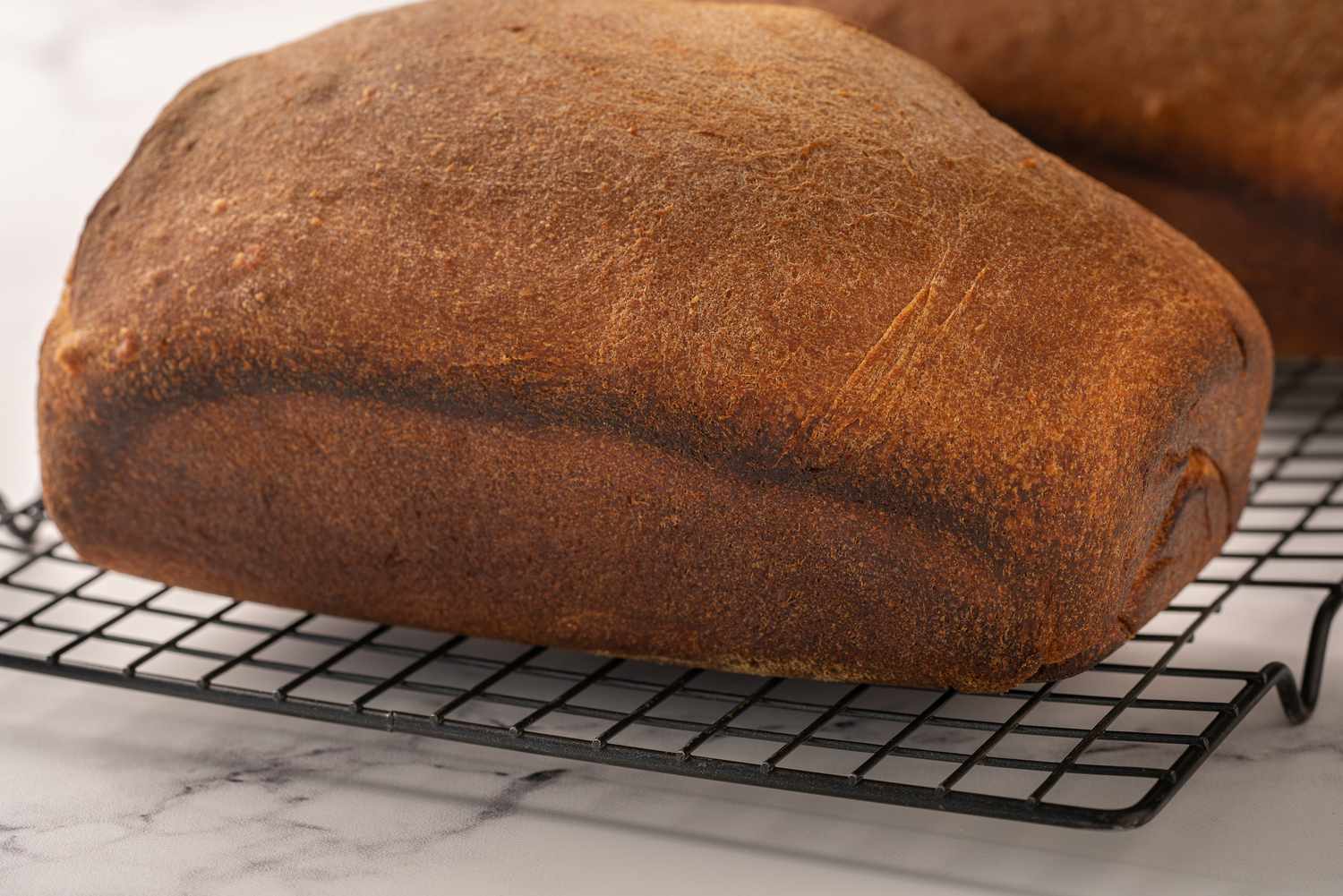 how-to-bake-whole-grain-whole-wheat-bread-at-home