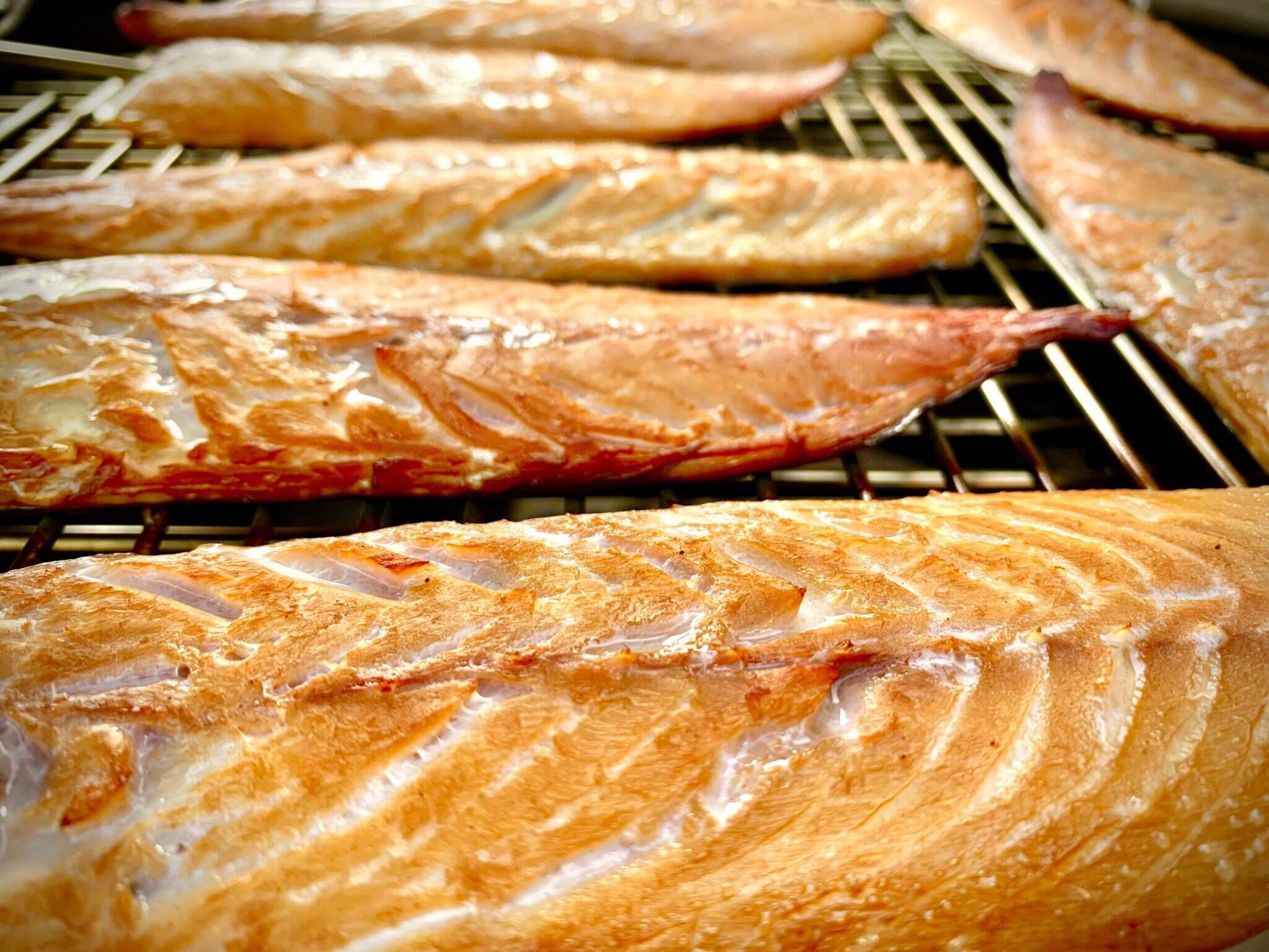 how-to-brine-mackerel
