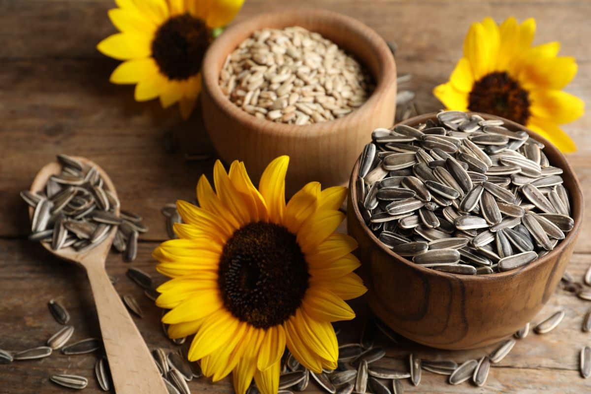 how-to-brine-sunflower-seeds