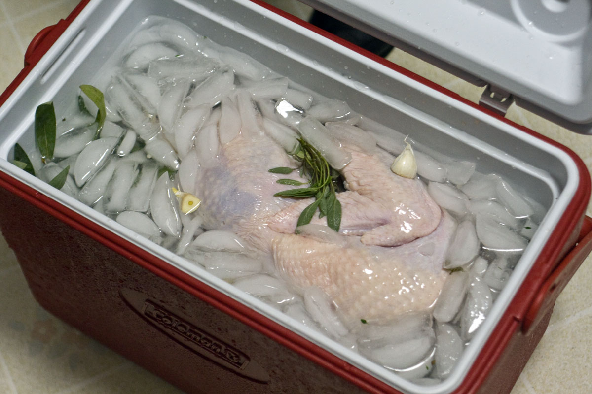 how-to-brine-turkey-in-a-cooler
