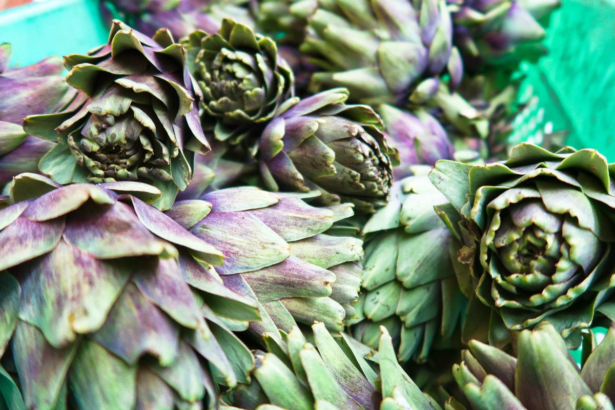 how-to-brine-your-own-artichokes