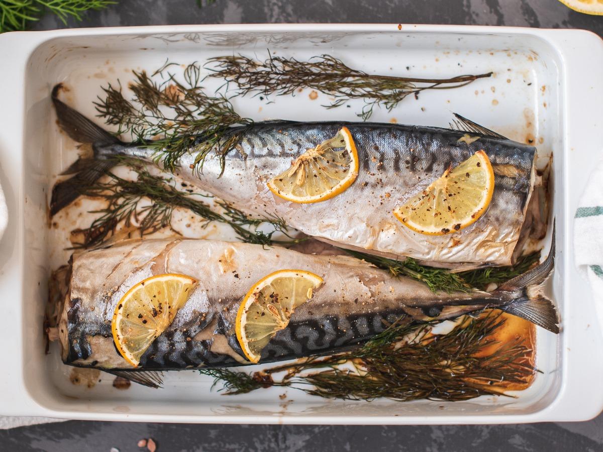 how-to-broil-fish-in-toaster-oven
