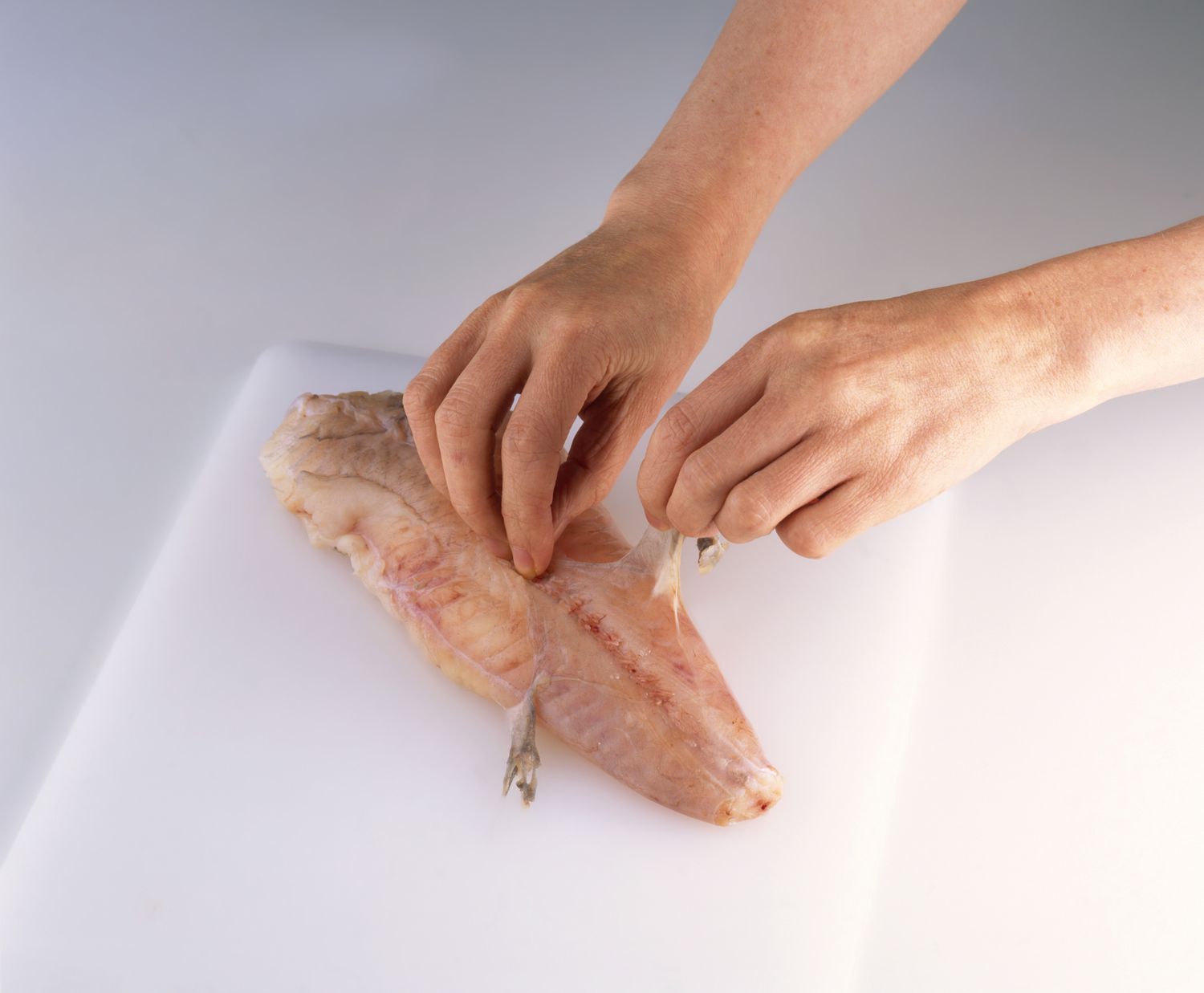 how-to-butterfly-monkfish