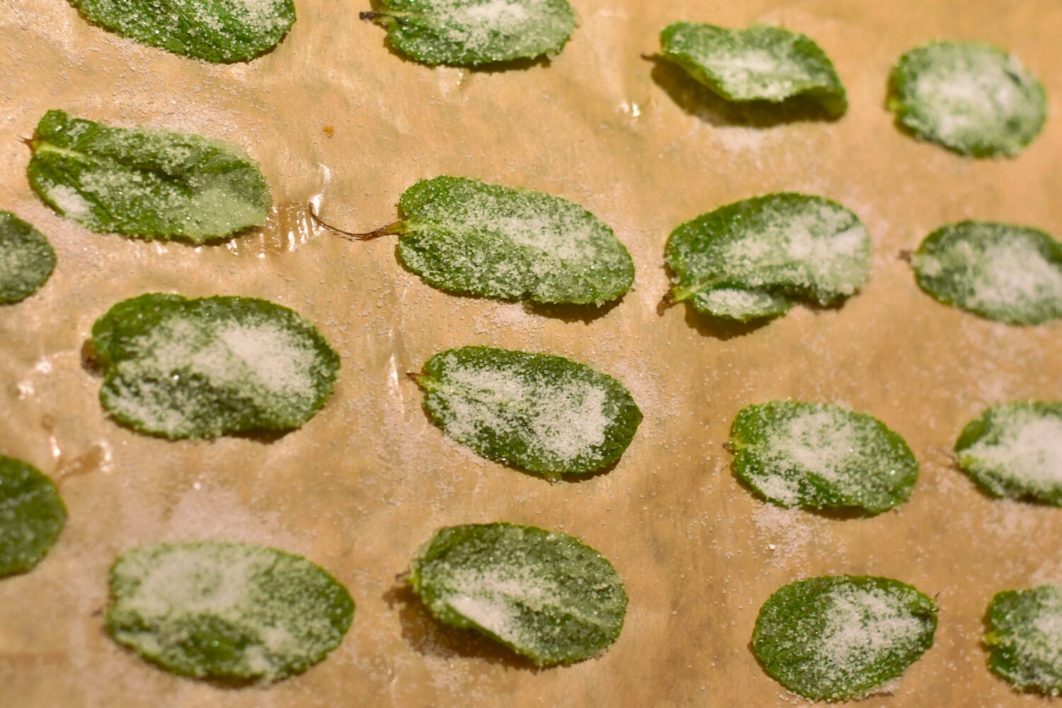 how-to-candy-mint-leafs