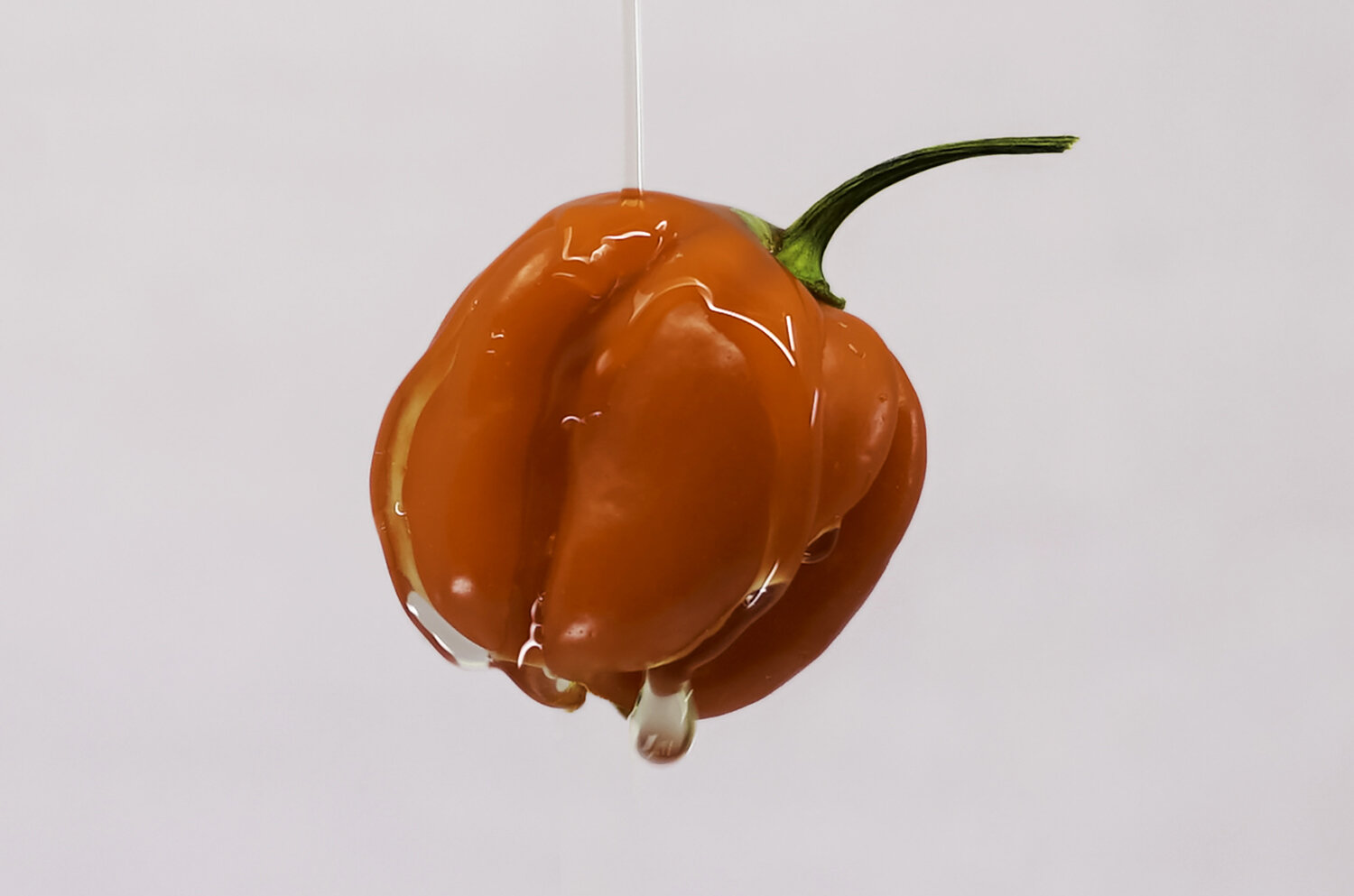 how-to-candy-peppers
