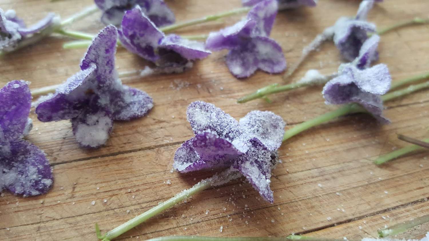 how-to-candy-violets
