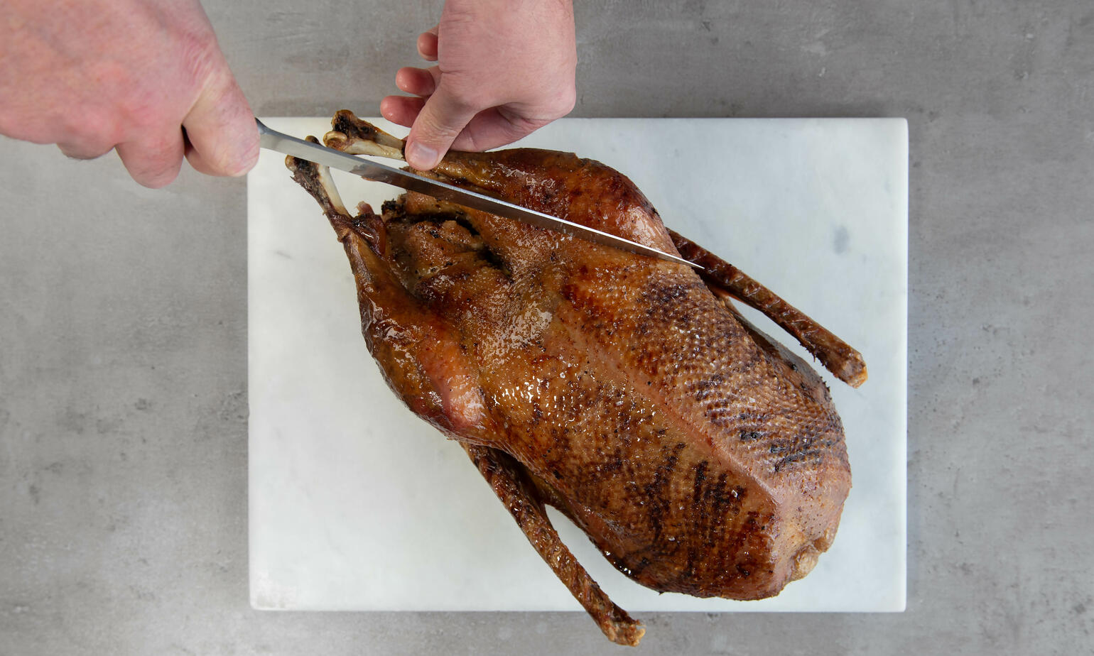 how-to-carve-a-goose