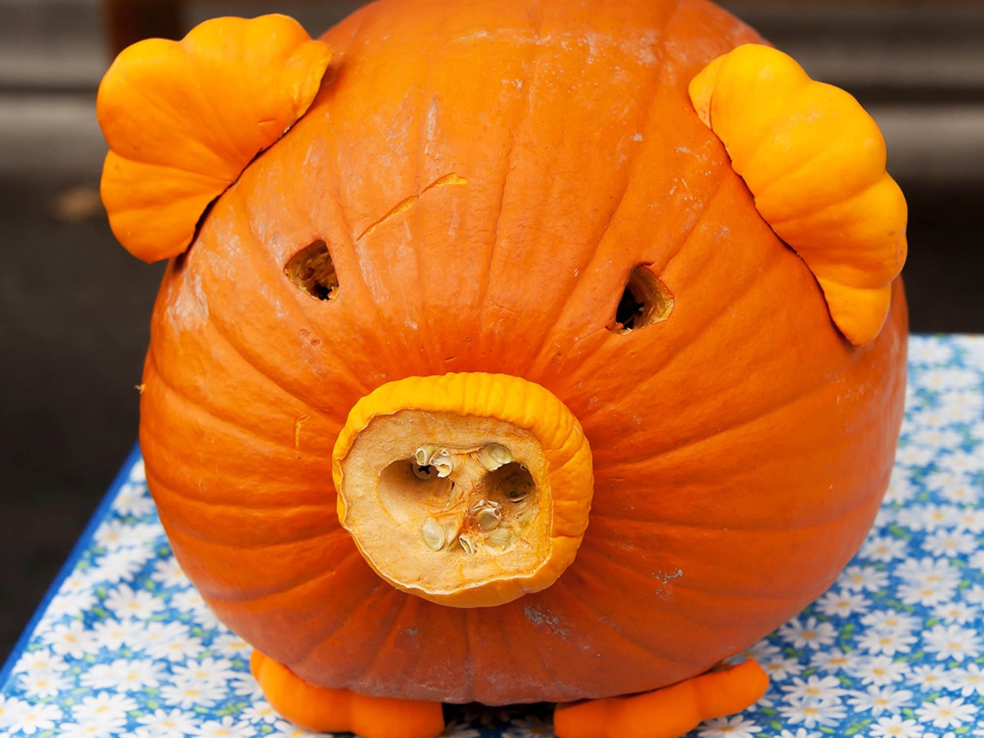 how-to-carve-a-pig-on-a-pumpkin