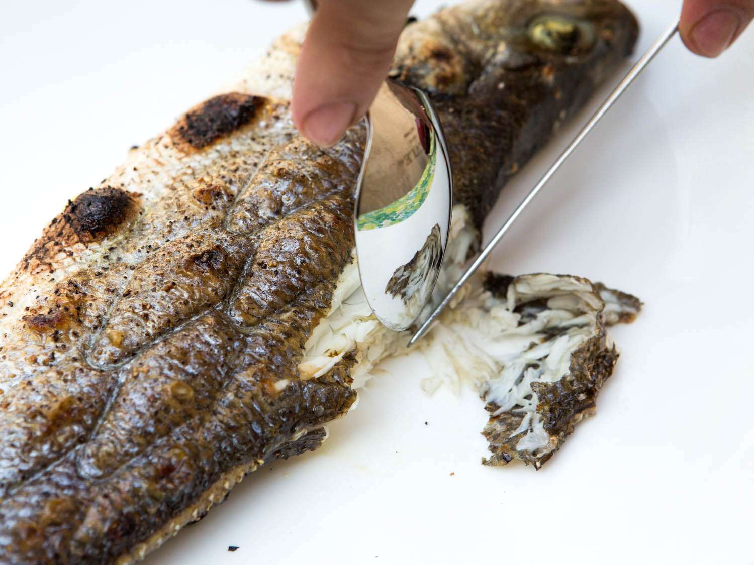 how-to-carve-a-whole-fish