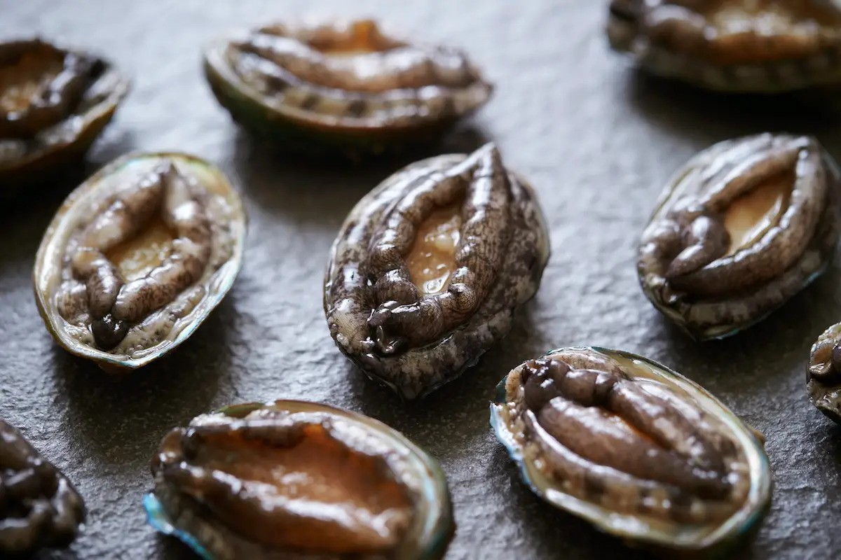 how-to-carve-abalone