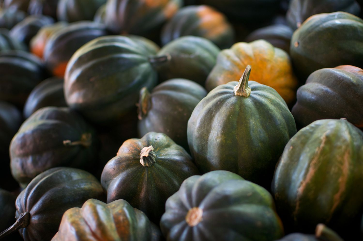 how-to-carve-an-acorn-squash