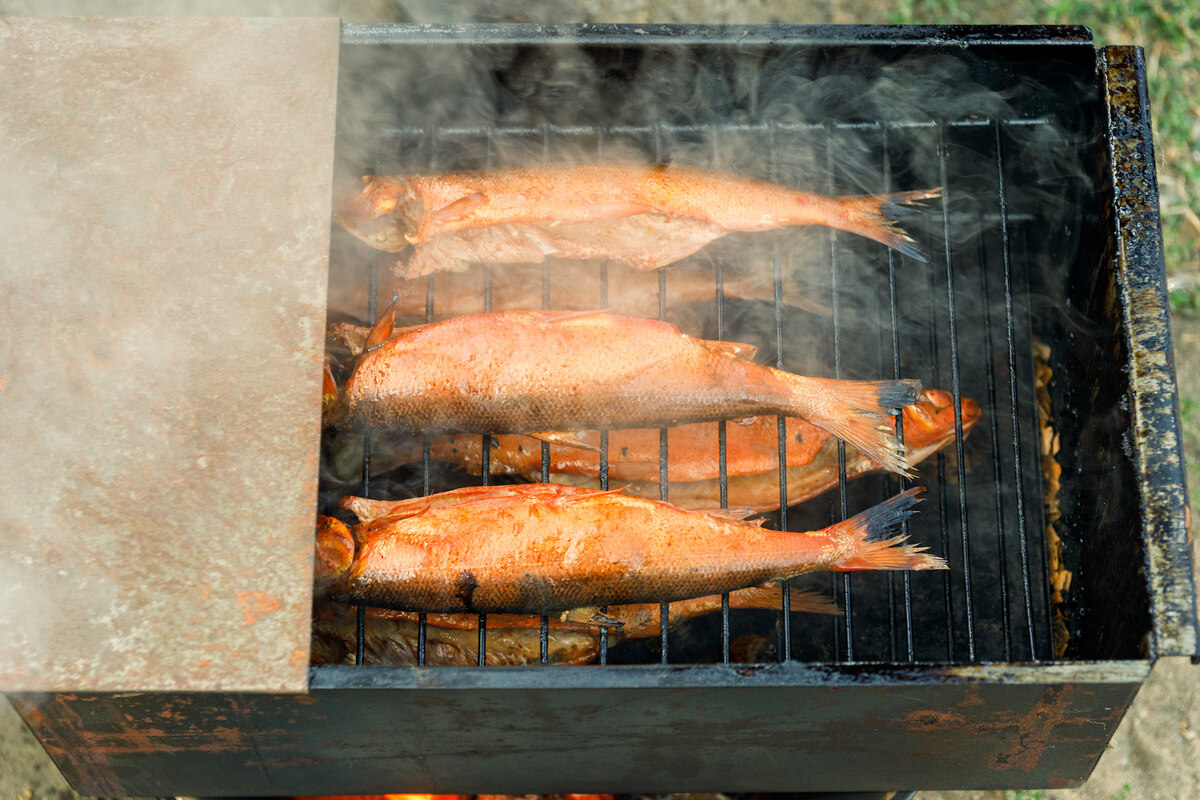 how-to-cold-smoke-fish-in-a-smoker